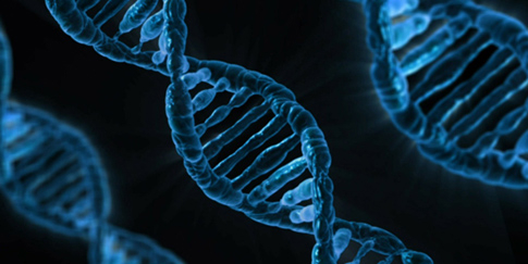 The Ethical and Security Implications of Synthetic Biology and Cognitive Enhancement
