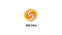 Phoenix-Satellite-Television