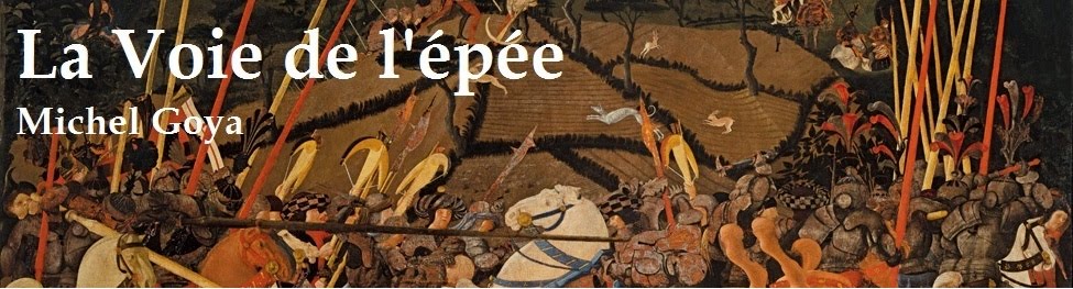 La voie de l'épée