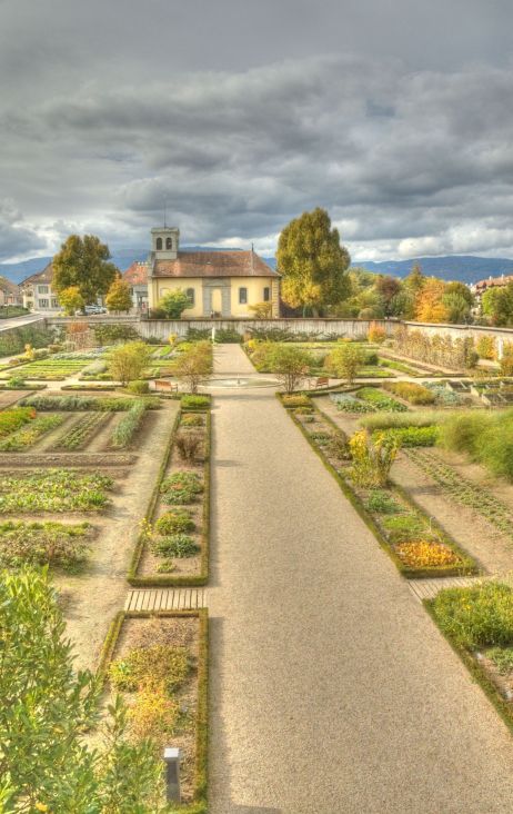 Jardin