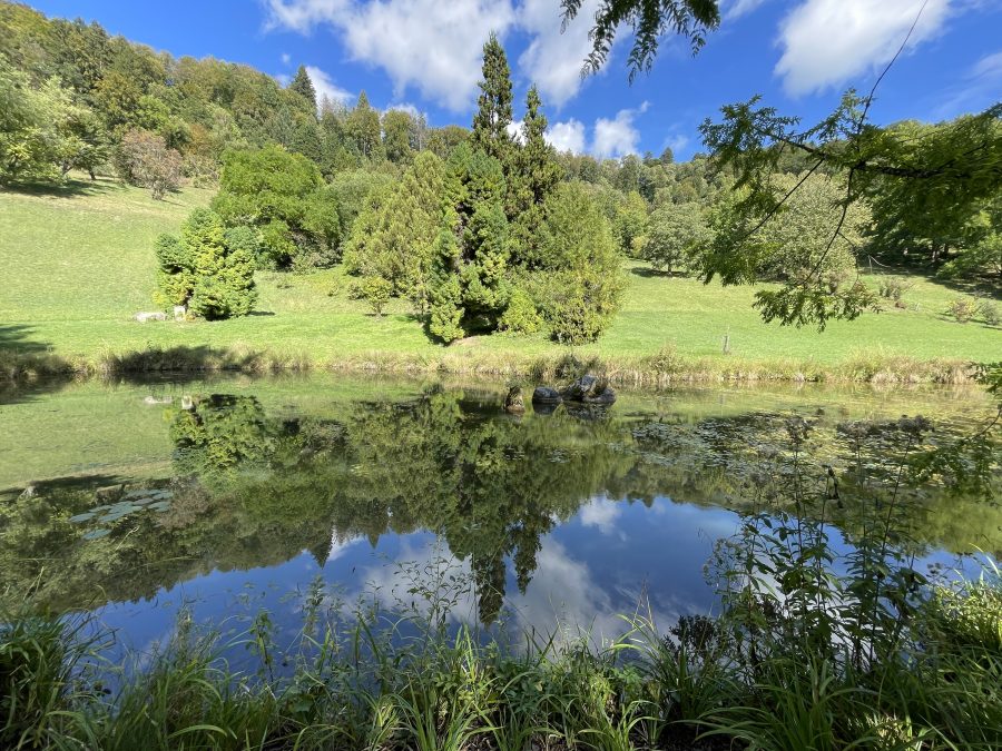 19 septembre 2023 – Arboretum d’Aubonne